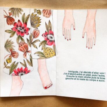 Illustrations